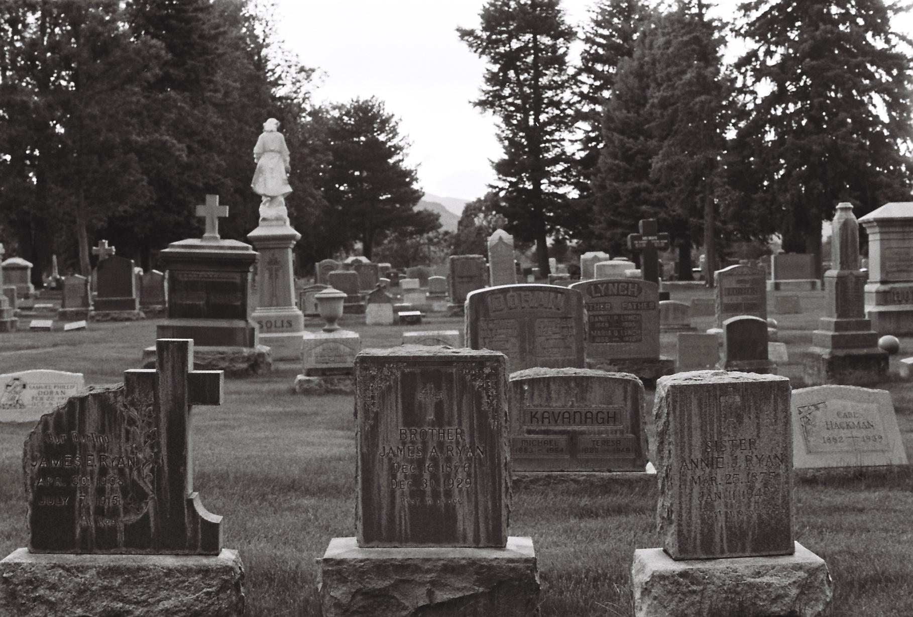 Collection of grave stones