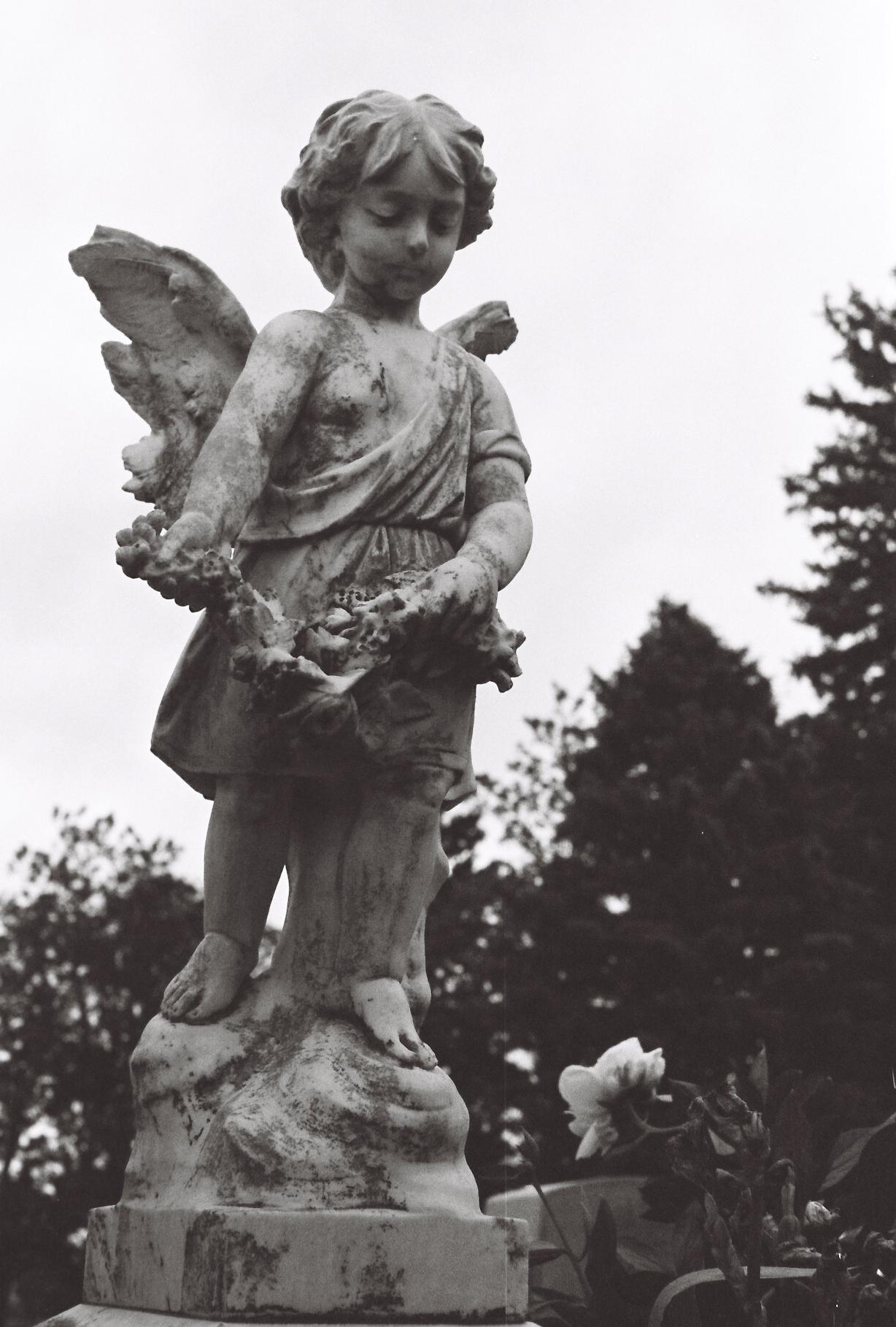 Cherub statue in the cemetery