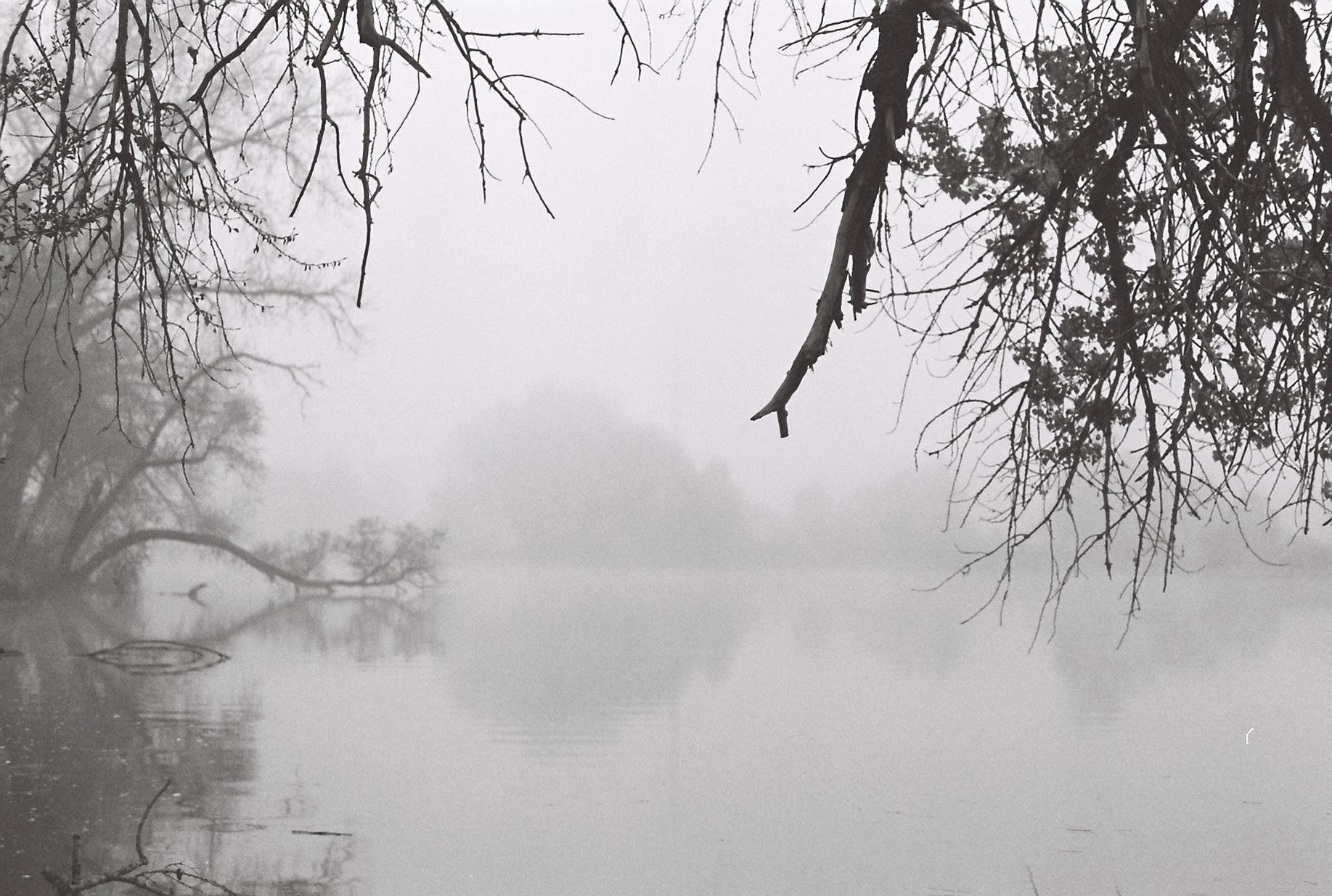 Lake in the morning fog